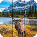 Puzzle - Forest animals