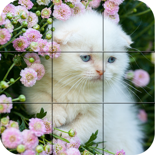 Puzzle - kittens