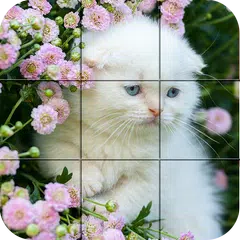 Puzzle - kittens APK 下載