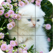 Puzzle - kittens