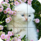 ikon kucing - Puzzle