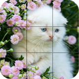 chatons - Puzzle icône
