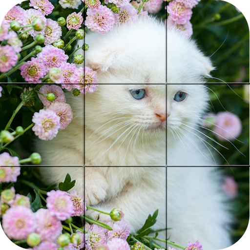Gattini -  Puzzle