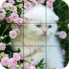 mèo con - Puzzle biểu tượng