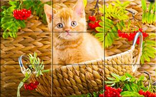 chatons - Puzzle Affiche