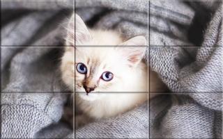 子猫 -  パズル スクリーンショット 3