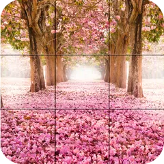 download Puzzle - bellezza di natura APK