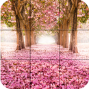 Puzzle - Beauté de la nature APK