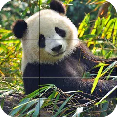 Baixar Puzzle - Bears and penguins APK