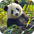 Puzzle - Bears and penguins APK