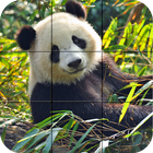 Puzzle - Bears and penguins-icoon