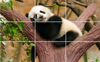 Puzzle - Bears and penguins-poster