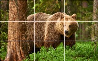 Puzzle - Bears and penguins screenshot 2