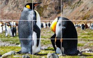 Puzzle - Bears and penguins capture d'écran 3