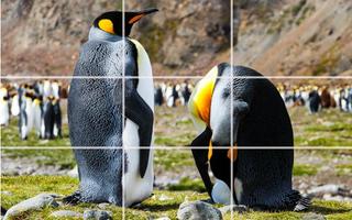 Puzzle - Bears and penguins screenshot 3