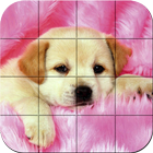 Puppies - Puzzle-icoon