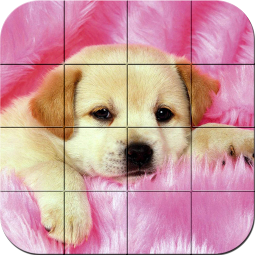 Cuccioli - Puzzle