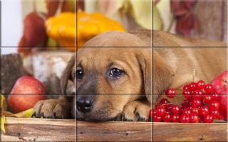 Puzzle - Puppies syot layar 2