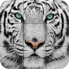 Puzzle - Wild animals icon