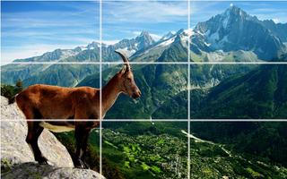 Os animais selvagens -  Puzzle imagem de tela 2