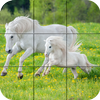 Puzzle - hermosos caballos MOD