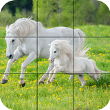 Puzzle - beaux chevaux icône
