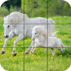 Puzzle - Cavalos bonitos ícone