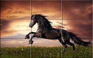 Puzzle - beaux chevaux Affiche