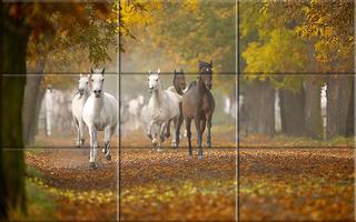 Puzzle - Beautiful Horses اسکرین شاٹ 1