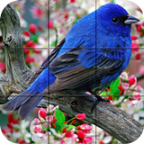 puzzle   - des oiseaux icône