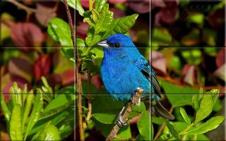 puzzle   - des oiseaux capture d'écran 3