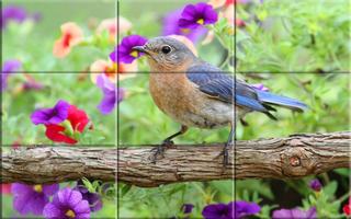 puzzle   - des oiseaux Affiche