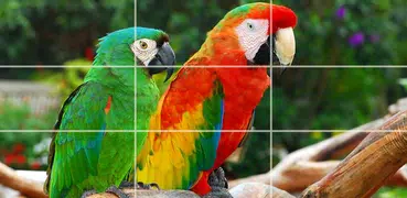 Puzzle - Bunte Foto