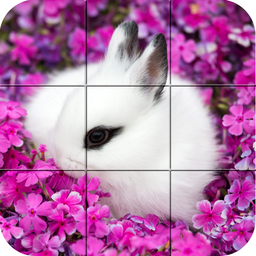 Puzzle - coelhos bonitos