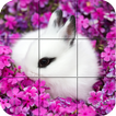 Puzzle - lapins mignons