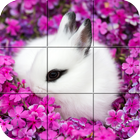 Puzzle - Cute bunnies آئیکن