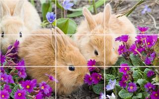 Puzzle - Cute bunnies پوسٹر