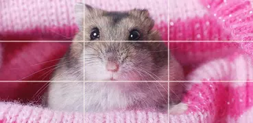 Puzzle - niedlichen Hamster
