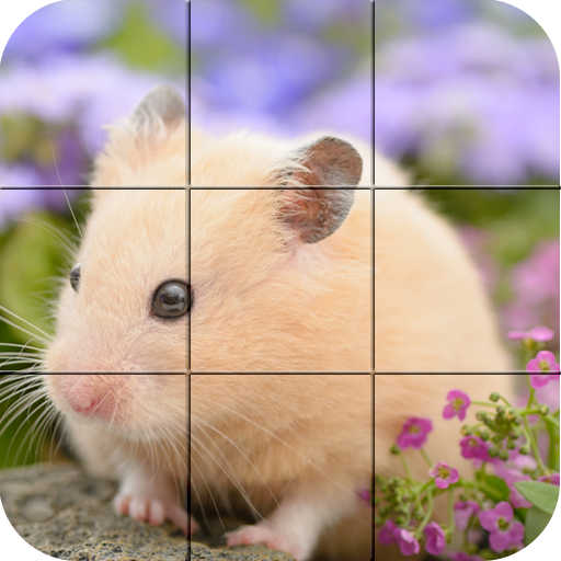 Puzzle - niedlichen Hamster