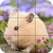 Puzzle - leuke Hamsters