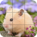 Puzzle - Hamster dễ thương APK