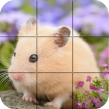 Puzzle - Hamsters mignon icône