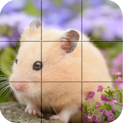 Puzzle - niedlichen Hamster