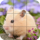 Puzzle - Hamsters mignon APK