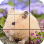 Puzzle - Hamsters mignon icône
