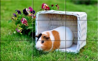 Puzzle - leuke Hamsters-poster