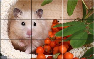 Puzzle - hamster bonitos imagem de tela 2
