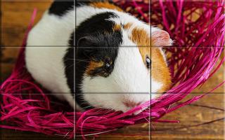 Puzzle - leuke Hamsters screenshot 3