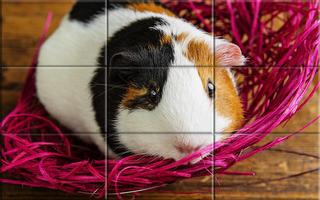 Puzzle - hamster bonitos imagem de tela 3