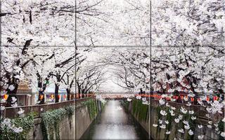 Puzzle - Spring Season poster